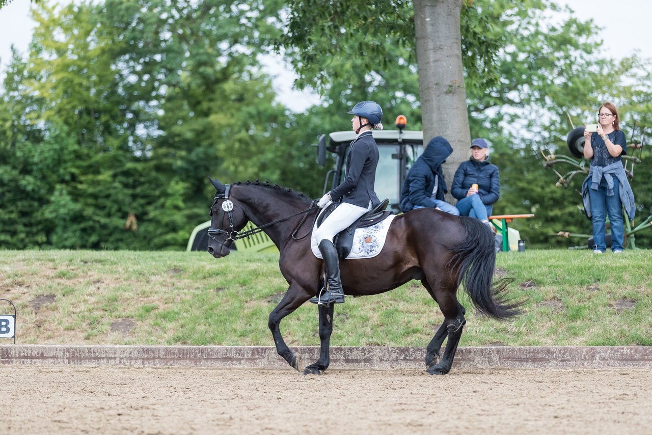 Bild 446 - Pony Akademie Turnier